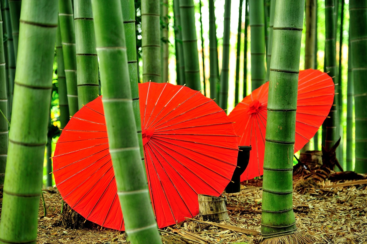 The Benefits of Bamboo in Sustainable Living